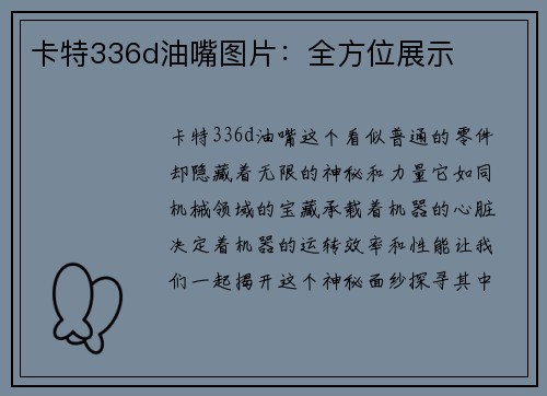 卡特336d油嘴图片:全方位展示 卡特336d油嘴图片:全方位展示