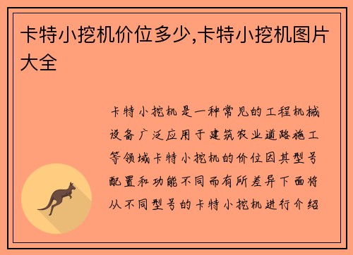 卡特小挖机价位多少,卡特小挖机图片大全 卡特小挖机价位多少,卡特小挖机图片大全
