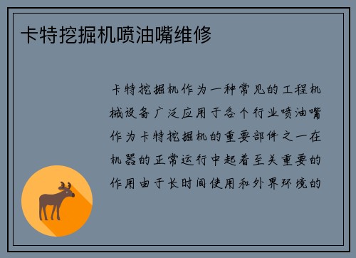 卡特挖掘机喷油嘴维修 卡特挖掘机喷油嘴维修