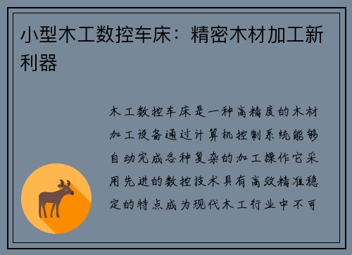 小型木工数控车床:精密木材加工新利器 小型木工数控车床:精密木材加工新利器